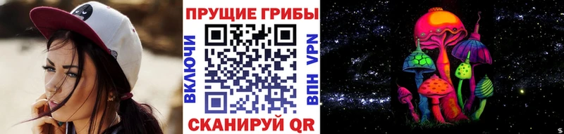 Галлюциногенные грибы мухоморы  купить наркоту  hydra вход  Городище 