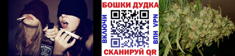 Канабис сатива  блэк спрут зеркало  Городище 